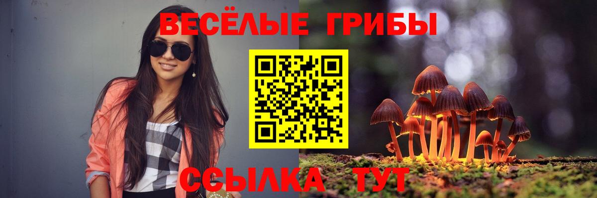 Псилоцибиновые грибы мухоморы Егорьевск
