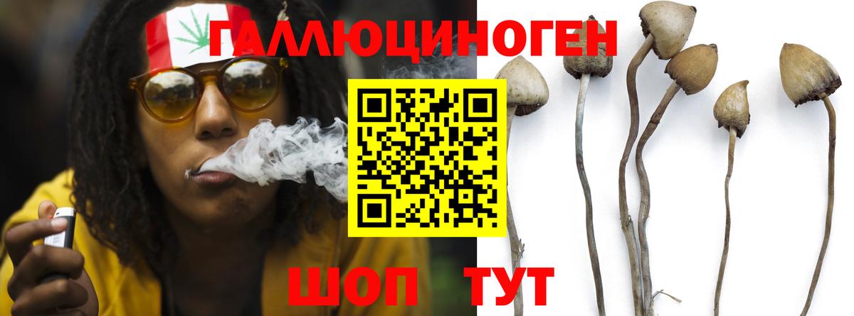 Егорьевск  закладки  Вход с VPN  Галлюциногенные грибы ЛСД  Галлюциногенные грибы ЛСД 